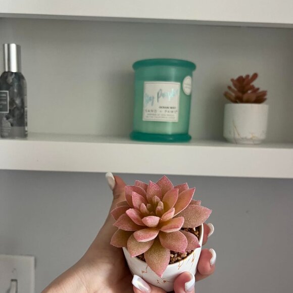 Plants Office Decor Bathroom Decor Desk Home Decoration Artificial Plant - Picture 9 of 9